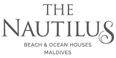 The Nautilus
